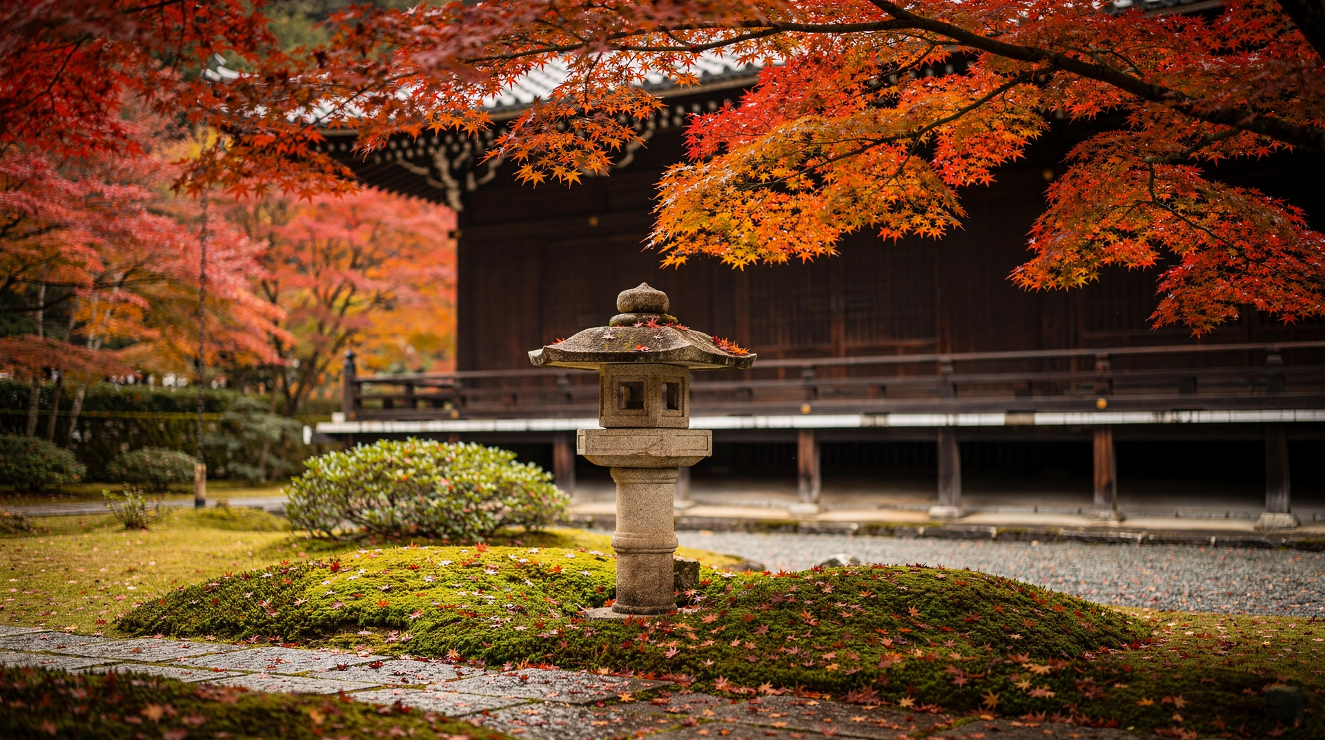 Kyoto autumn leaves forecast 2026 — when momiji season actually peaks — When Kyoto's autumn foliage peaks in 2026, why forecasts shift into November, an