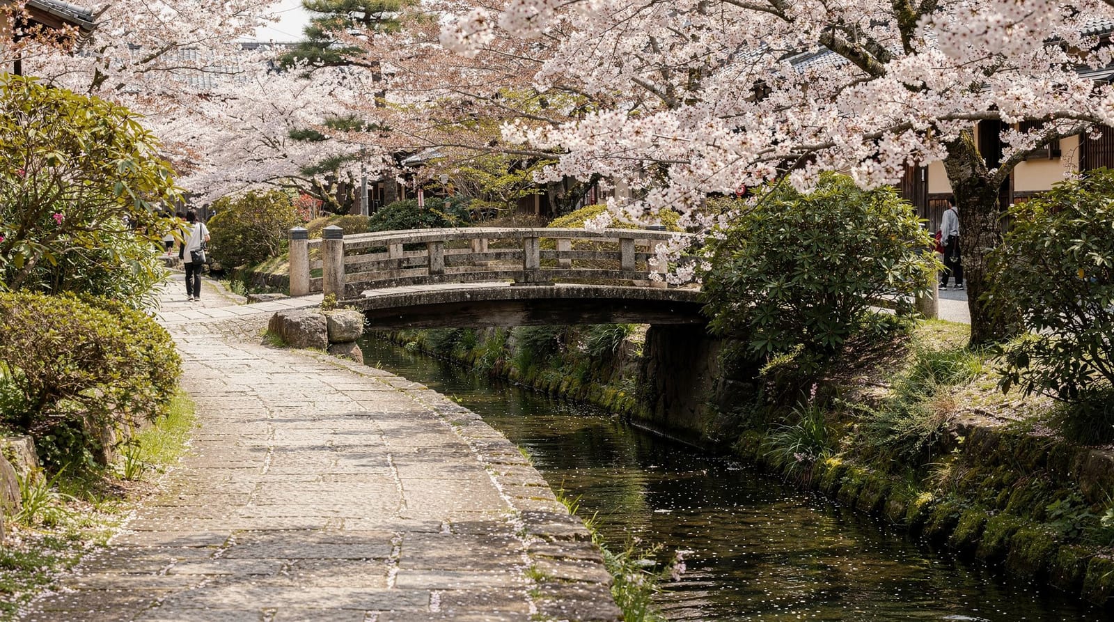 The best gardens in Kyoto — strolling ponds and dry stone, ranked honestly — Kyoto's best gardens compared honestly — Saiho-ji, Ginkaku-ji, Tenryu-ji, Katsur