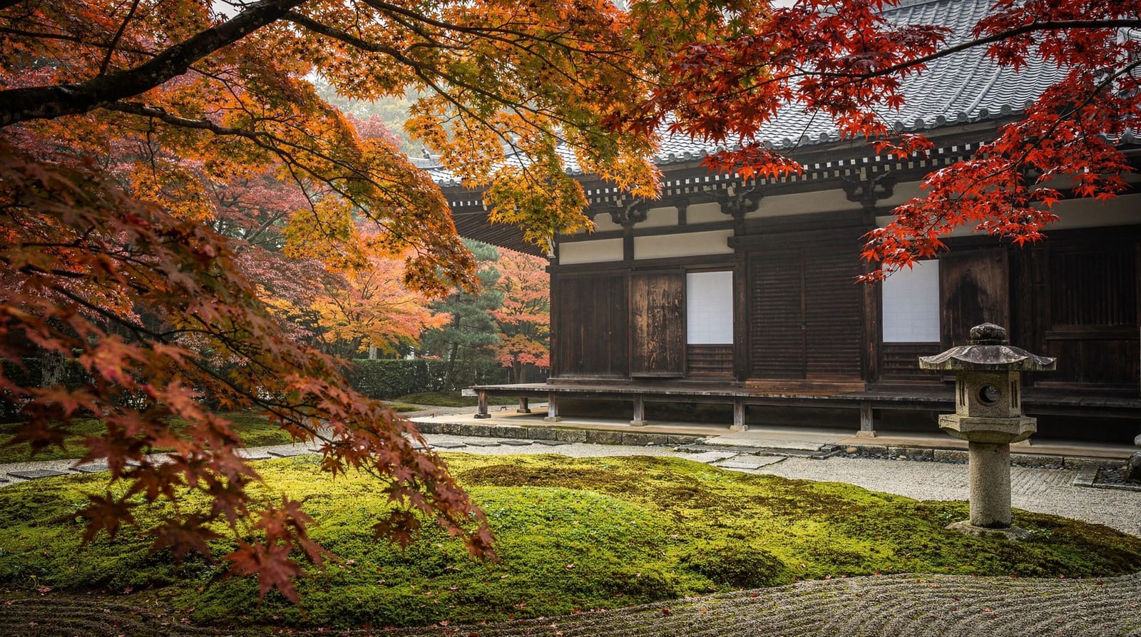 Kyoto in autumn — month-by-month weather, festivals, and momiji