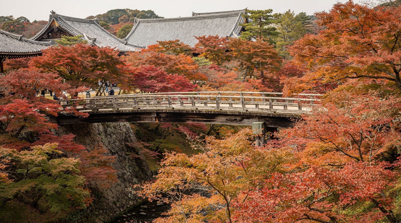 Tofuku-ji — autumn maples and Shigemori's modern gardens