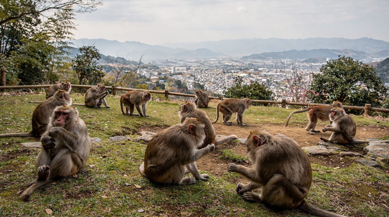 Kyoto with kids — a 3-day family itinerary — 3 days — easy — mid-range